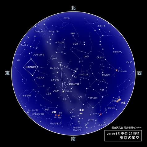 8月8日星座